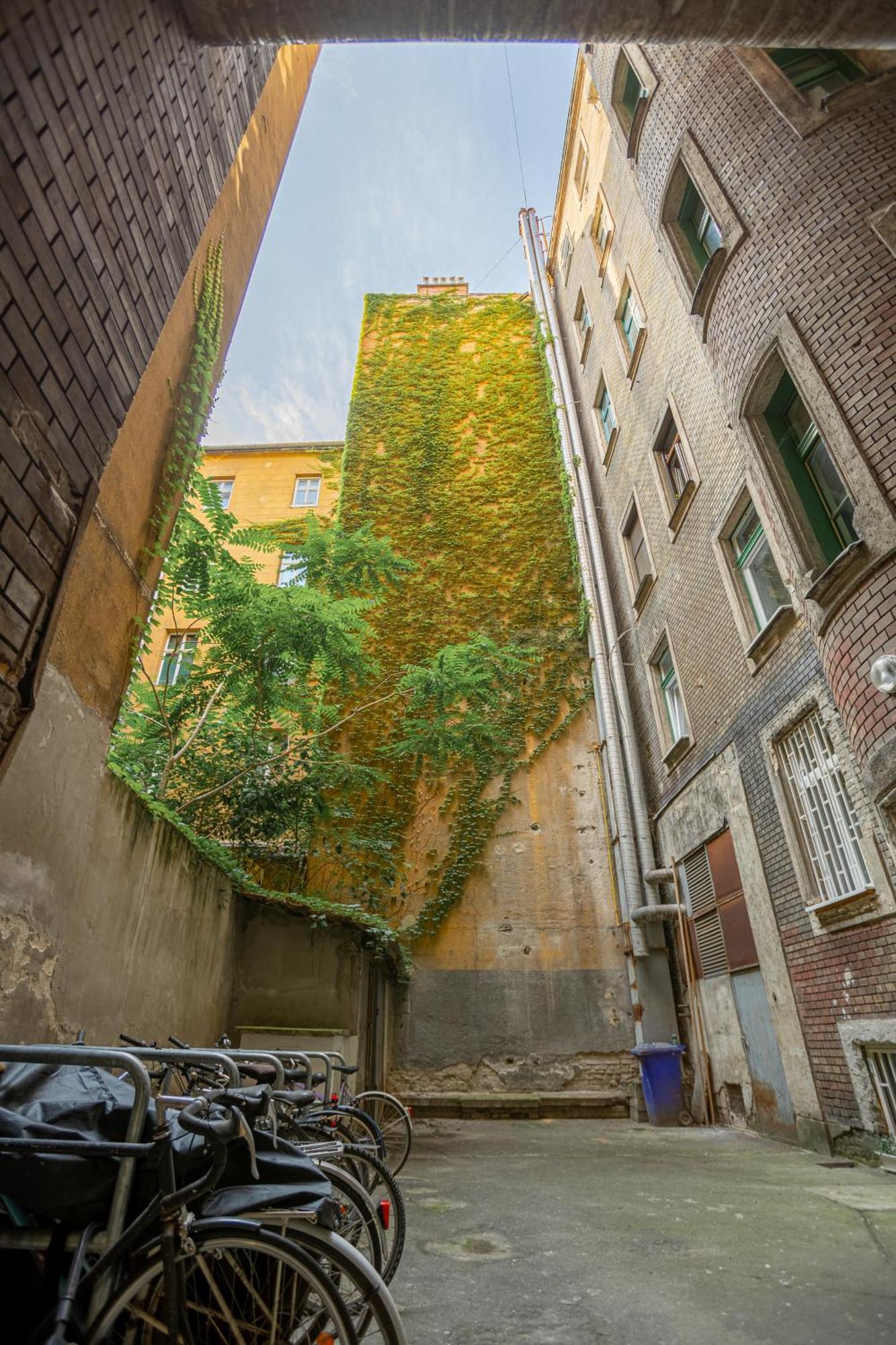 Velvet Vista Apartment Budapest Kültér fotó
